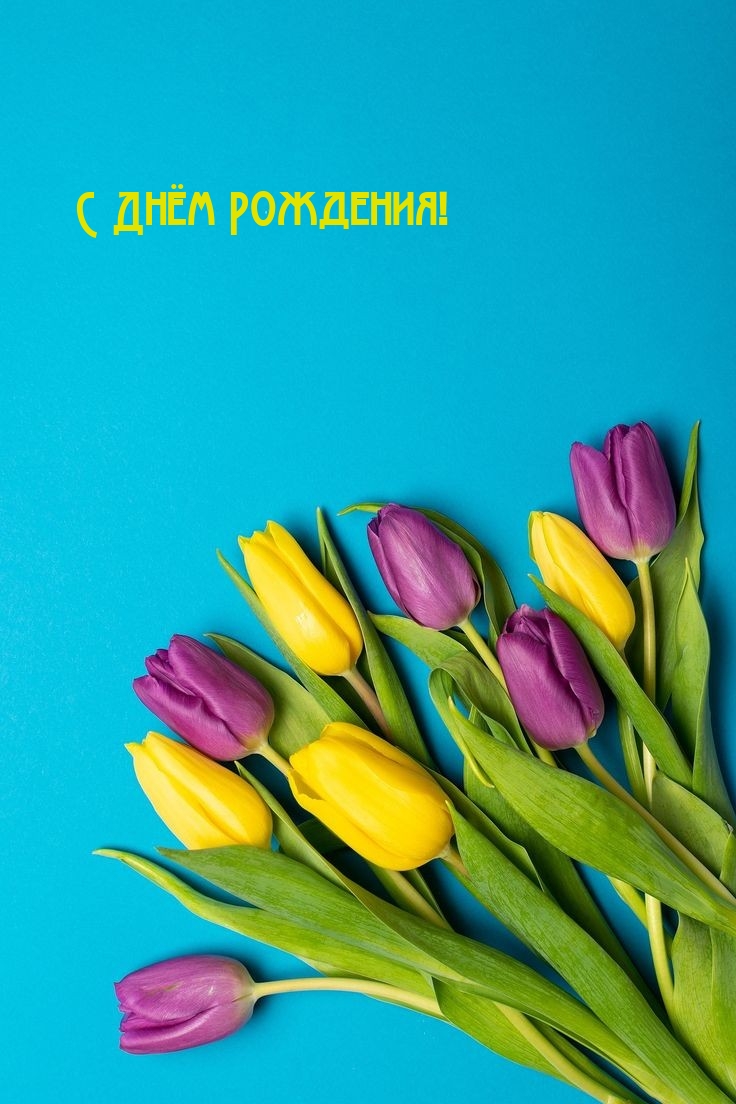 С Днём Рождения!