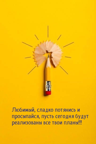 Любимый, сладко потянись и просыпайся