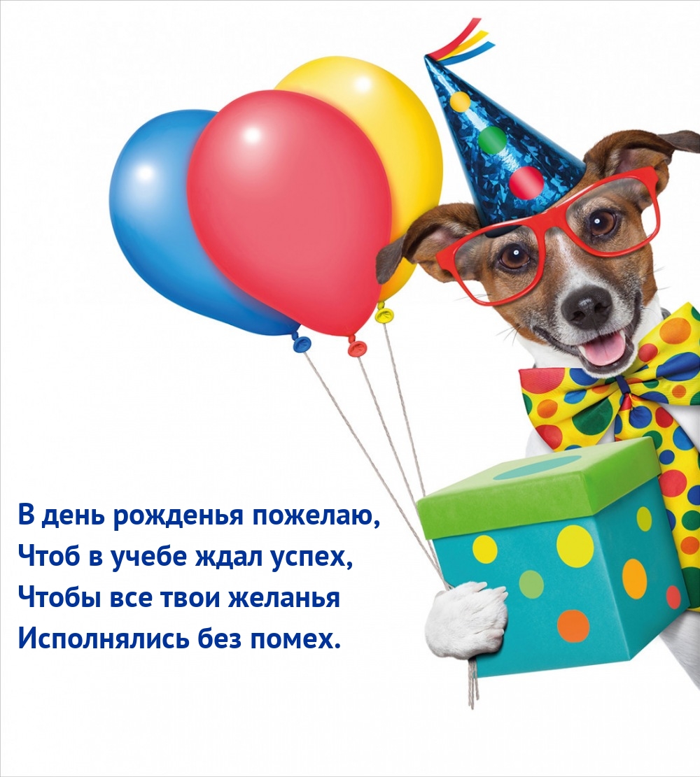 В день рожденья пожелаю, чтоб в учебе ждал успех