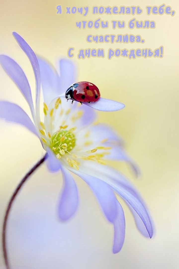 Я хочу пожелать, чтобы ты была счастлива. С днем рожденья!