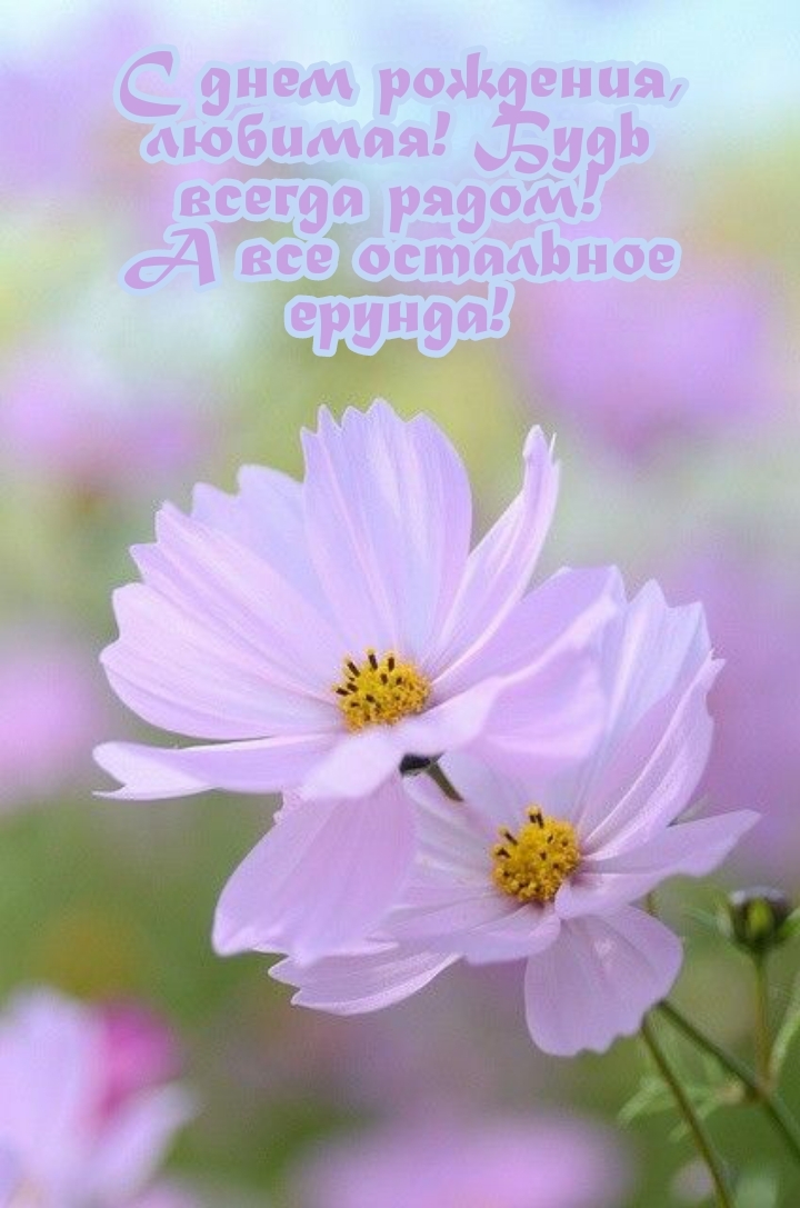 С днем рождения, любимая! Будь всегда рядом! 