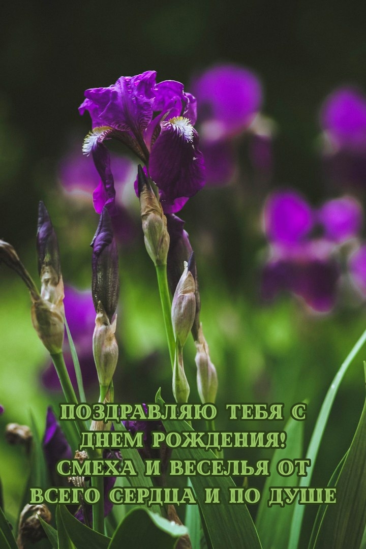 С днем рождения! Смеха и веселья от всего сердца и по душе