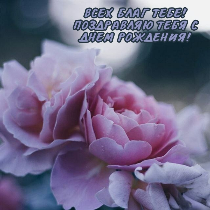 Всех благ тебе! Поздравляю тебя с днем рождения!