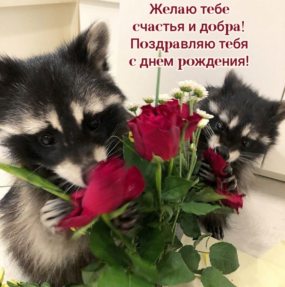 Желаю счастья и добра! Поздравляю тебя с днем рождения!