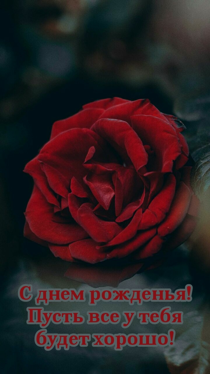 С днем рожденья! Пусть все у тебя будет хорошо!