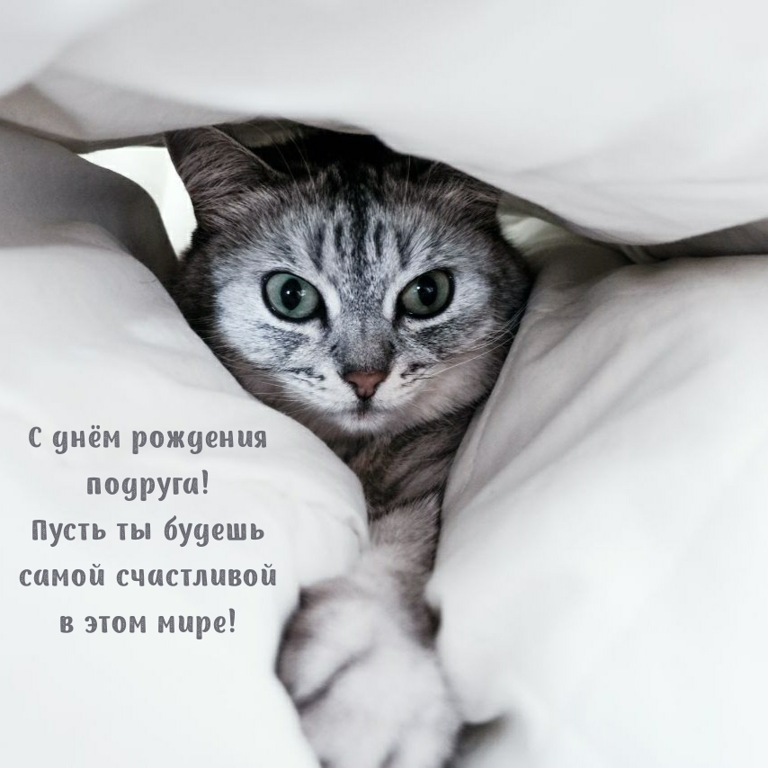 С днём рождения подруга! Пусть ты будешь самой счастливой 