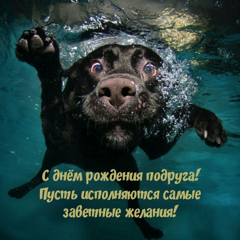 С днём рождения подруга! Пусть исполняются самые заветные желания!