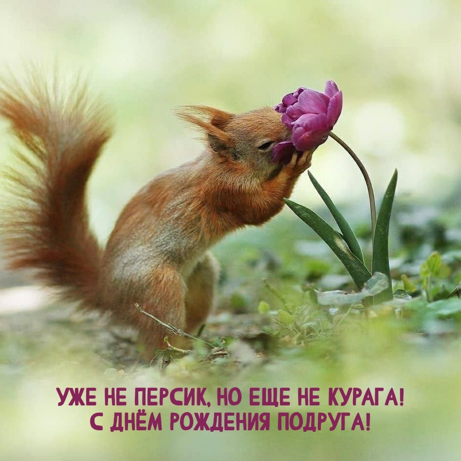 Уже не персик, но еще не курага! С днём рождения подруга!