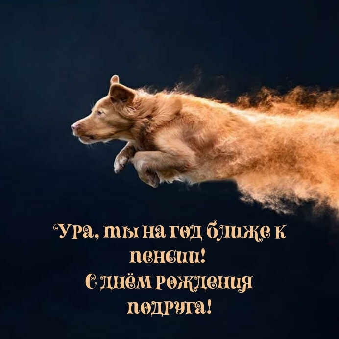 Ура, ты на год ближе к пенсии! С днём рождения подруга!