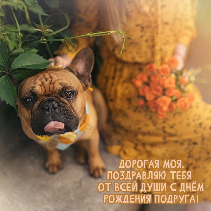 Дорогая моя, поздравляю тебя от всей души 