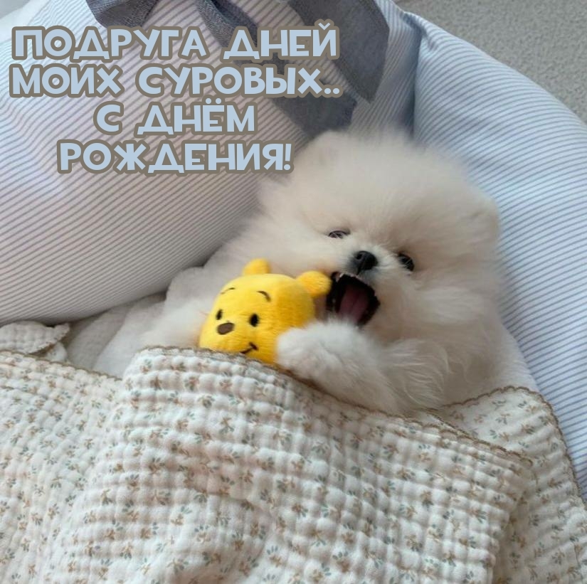 Подруга дней моих суровых.. С днём рождения!