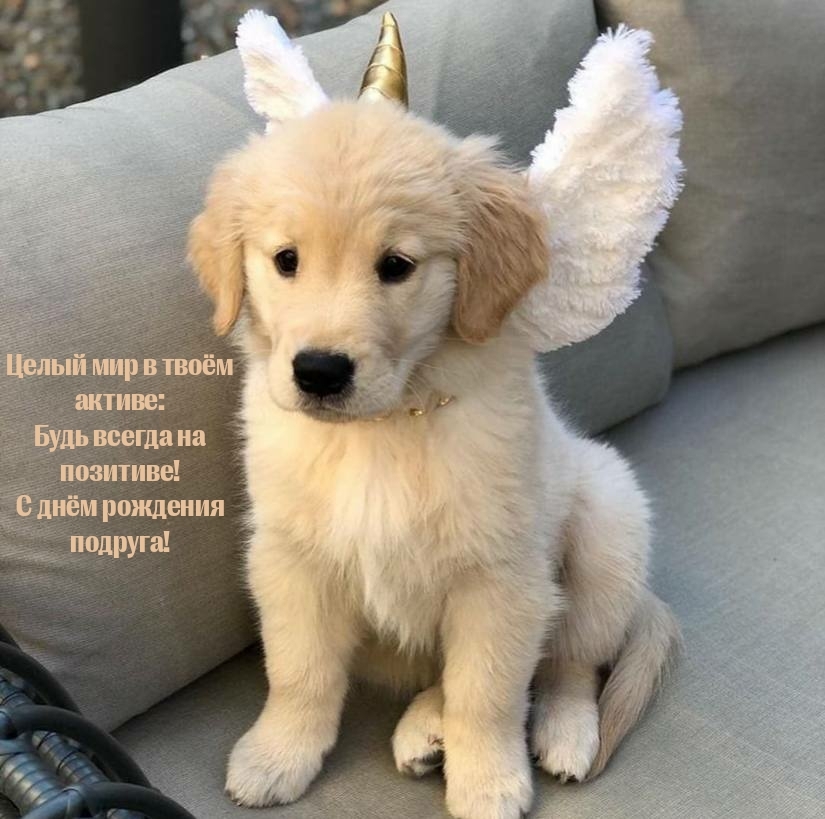 С днём рождения подруга! Будь всегда на позитиве!