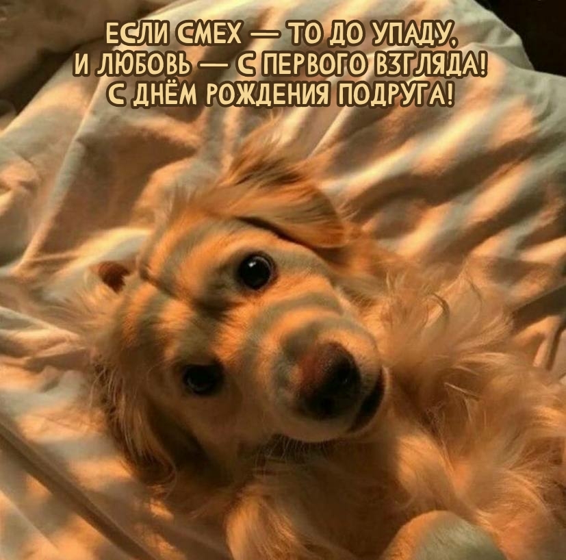 С днём рождения подруга! Если смех — то до упаду