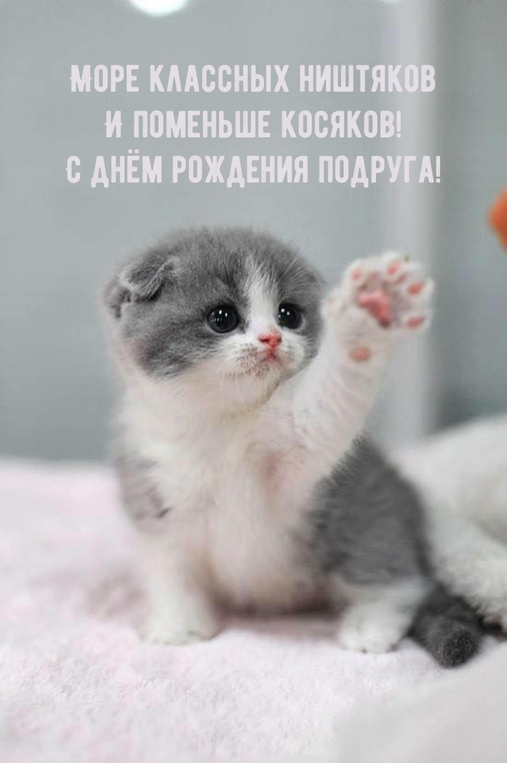 С днём рождения подруга! Море классных ништяков