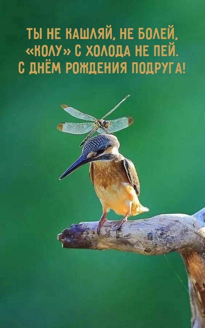 С днём рождения подруга! Ты не кашляй, не болей