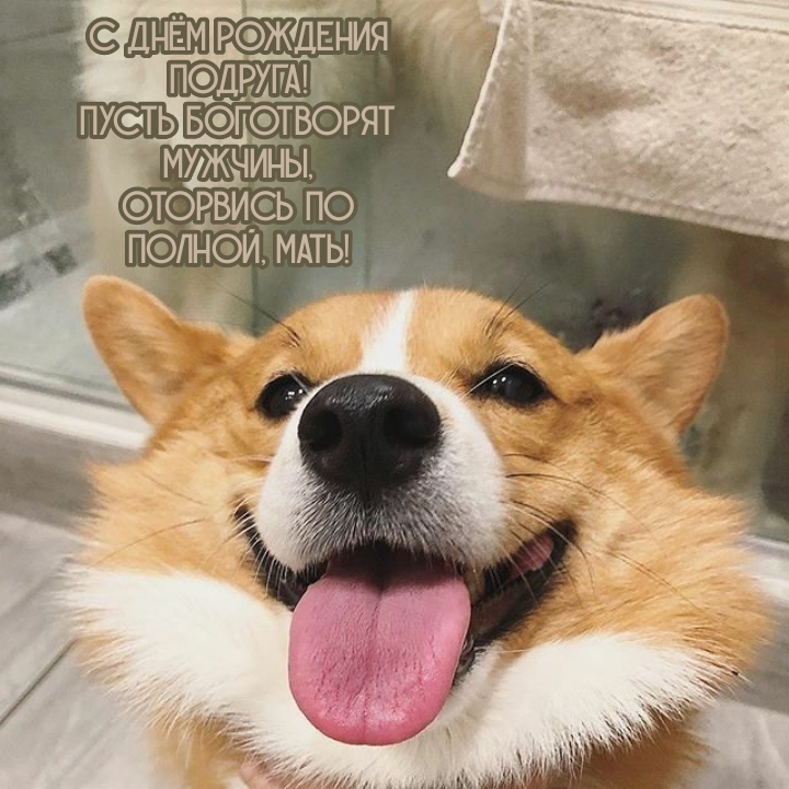 С днём рождения подруга! Пусть боготворят мужчины