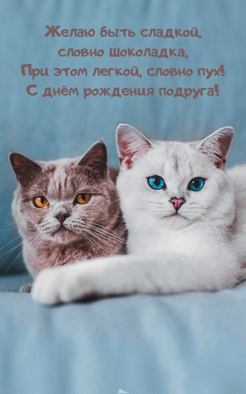 С днём рождения подруга! Желаю быть сладкой, словно шоколадка
