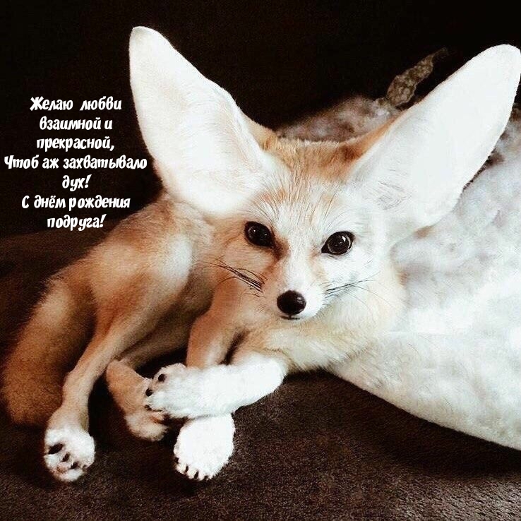 С днём рождения подруга!  Желаю любви взаимной 