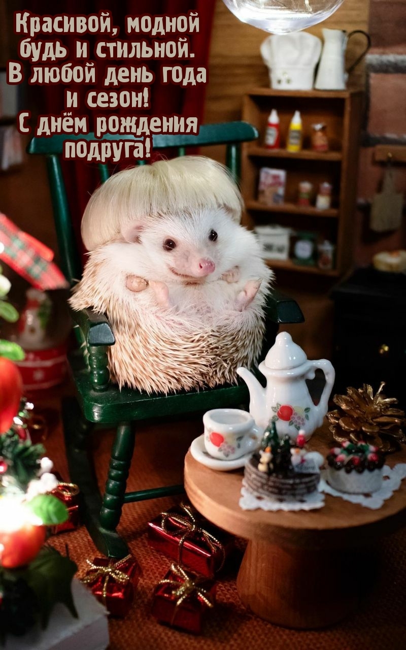 Красивой, модной будь и стильной. В любой день года и сезон!