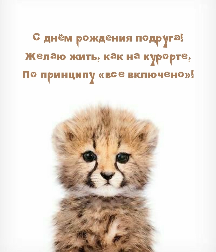 С днём рождения подруга! Желаю жить, как на курорте