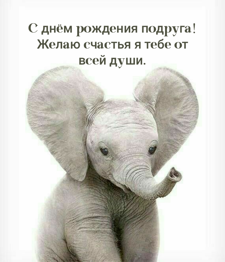 С днём рождения подруга! Желаю счастья я тебе от всей души.