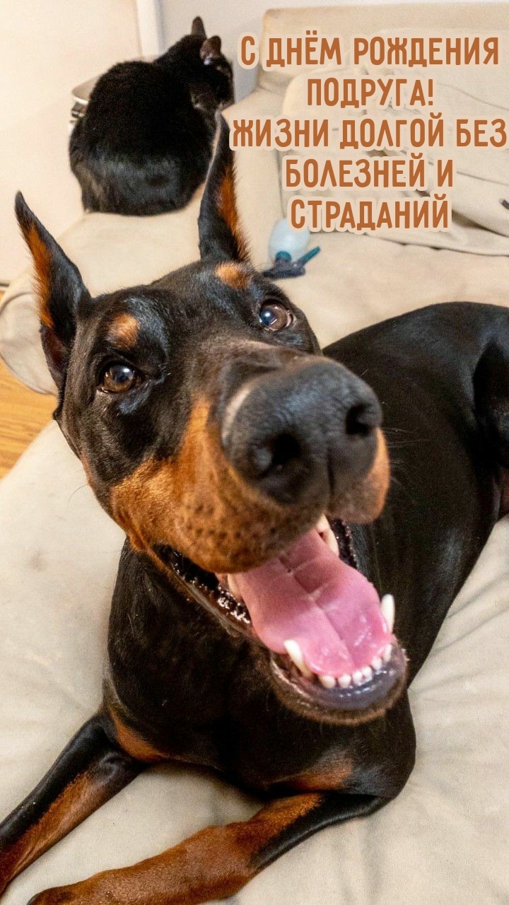 С днём рождения подруга! Жизни долгой без болезней и страданий