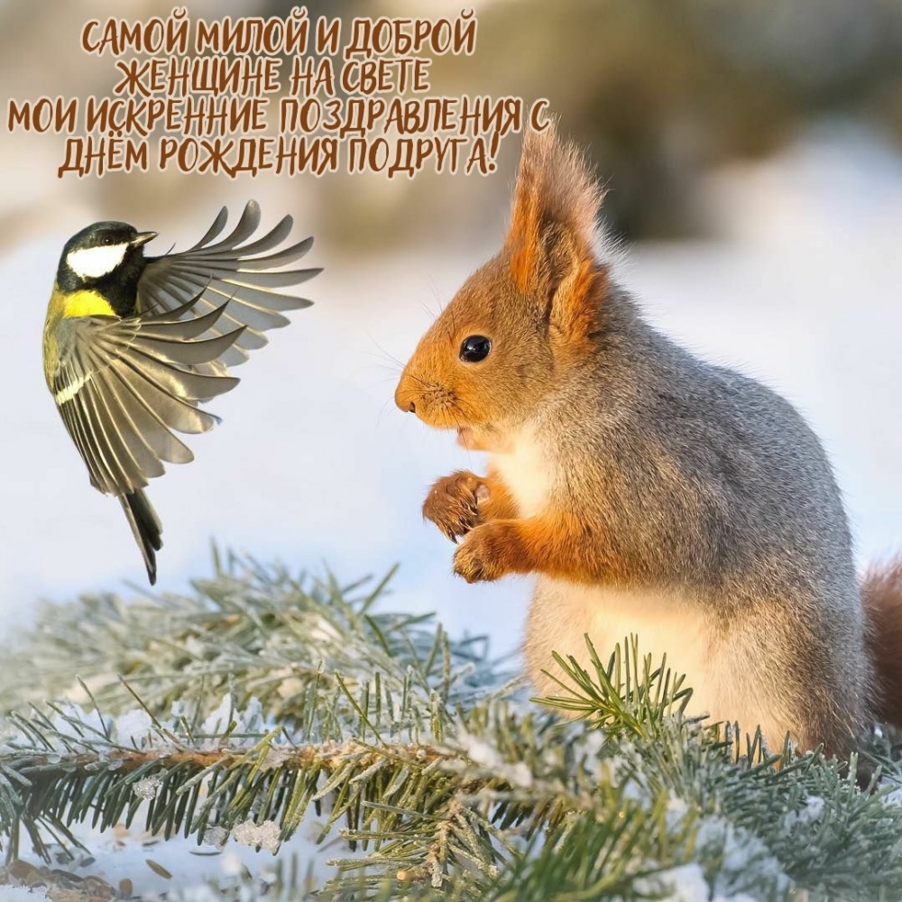 Мои искренние поздравления с днём рождения подруга!