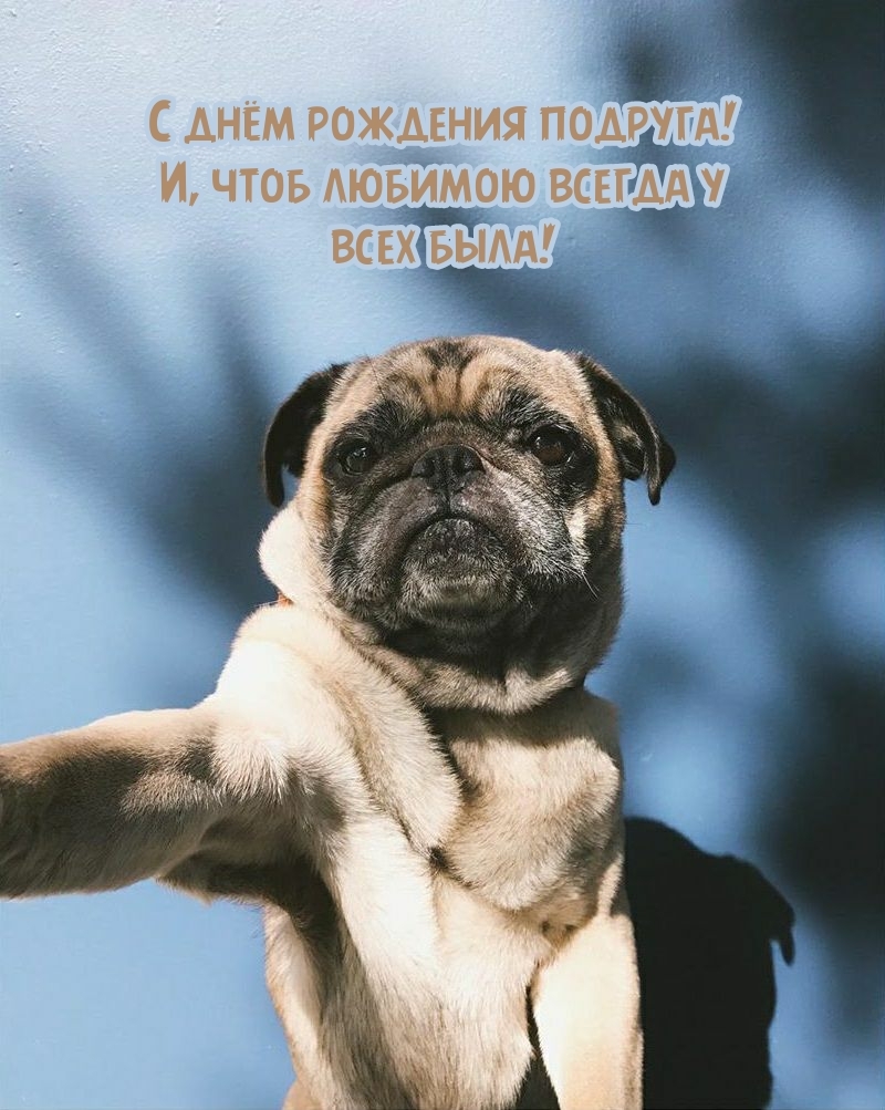 С днём рождения подруга! И, чтоб любимою всегда у всех была!