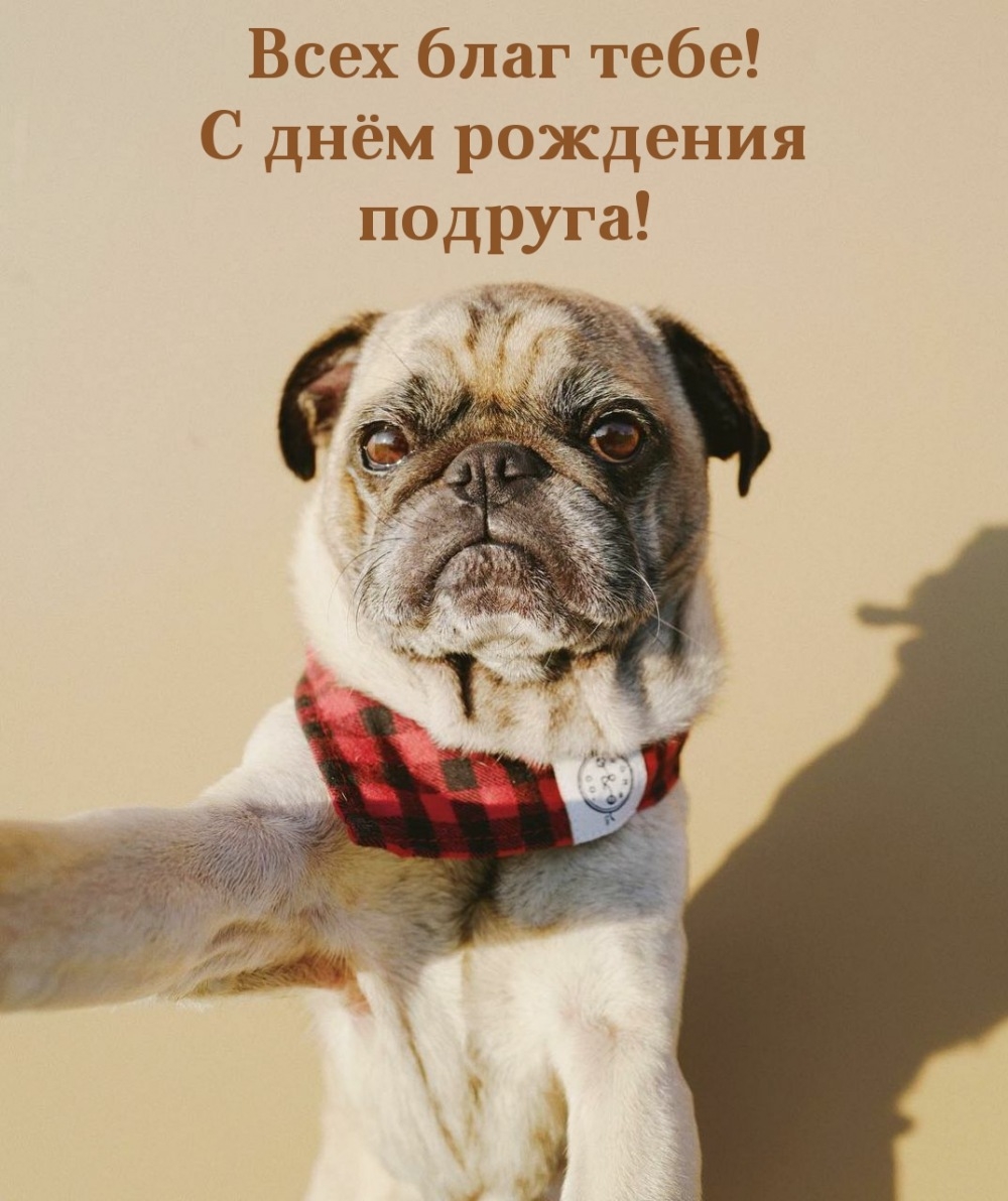 Всех благ тебе! С днём рождения подруга!