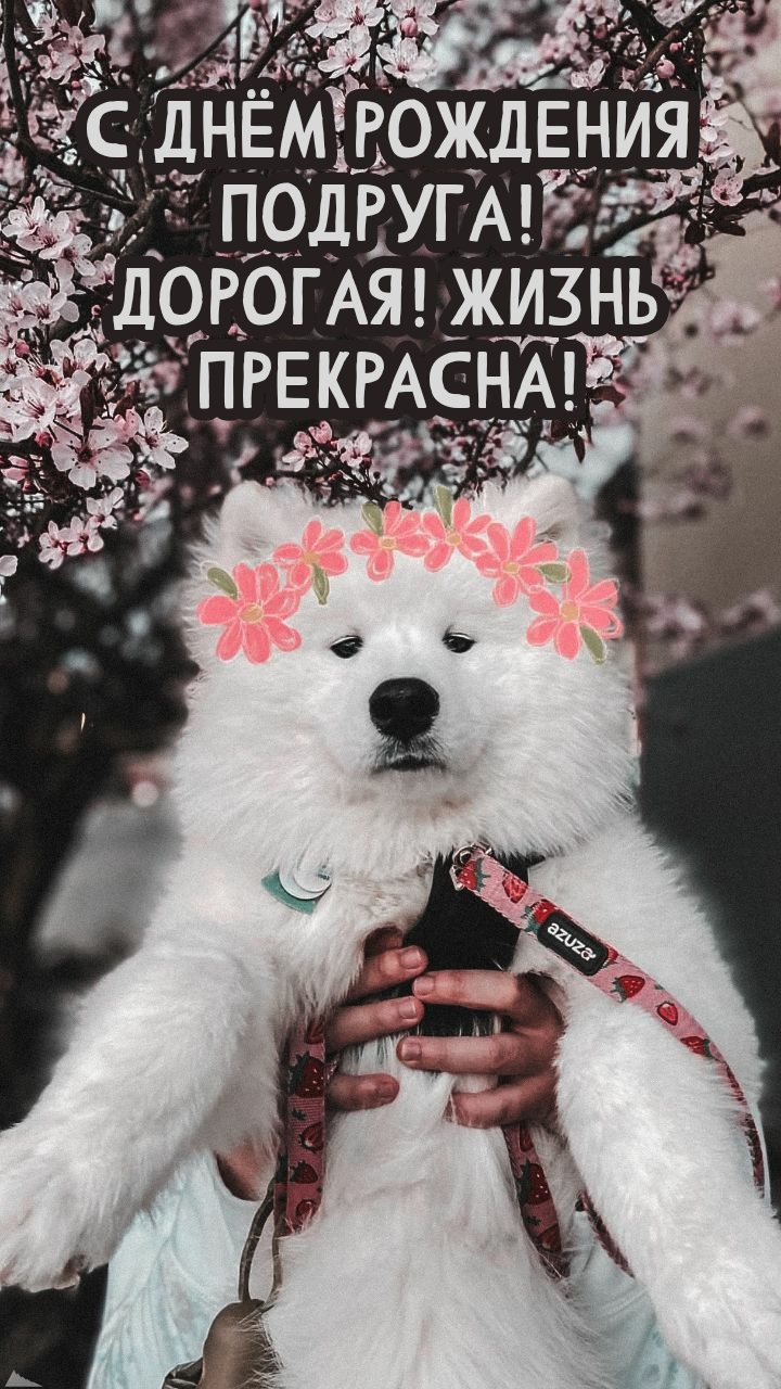 С днём рождения подруга! Дорогая! Жизнь прекрасна!