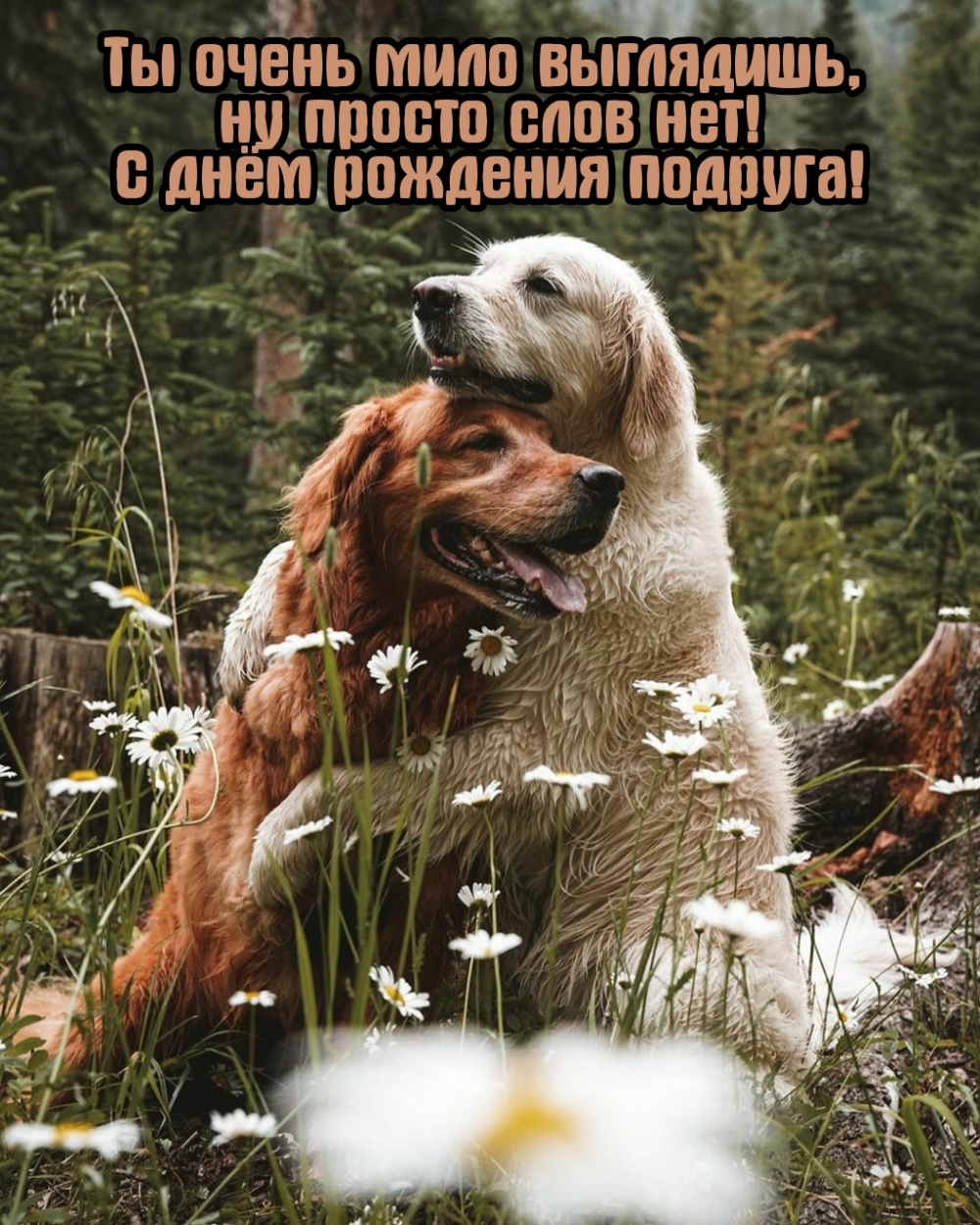 С днём рождения подруга! Ты очень мило выглядишь