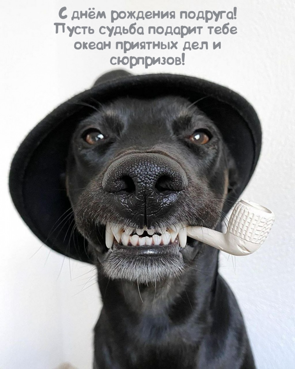 Пусть судьба подарит тебе океан приятных дел