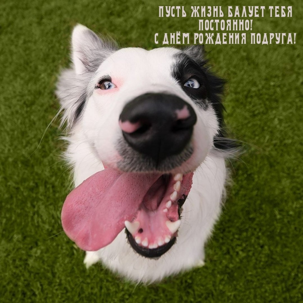 Пусть жизнь балует тебя постоянно! С днём рождения подруга!