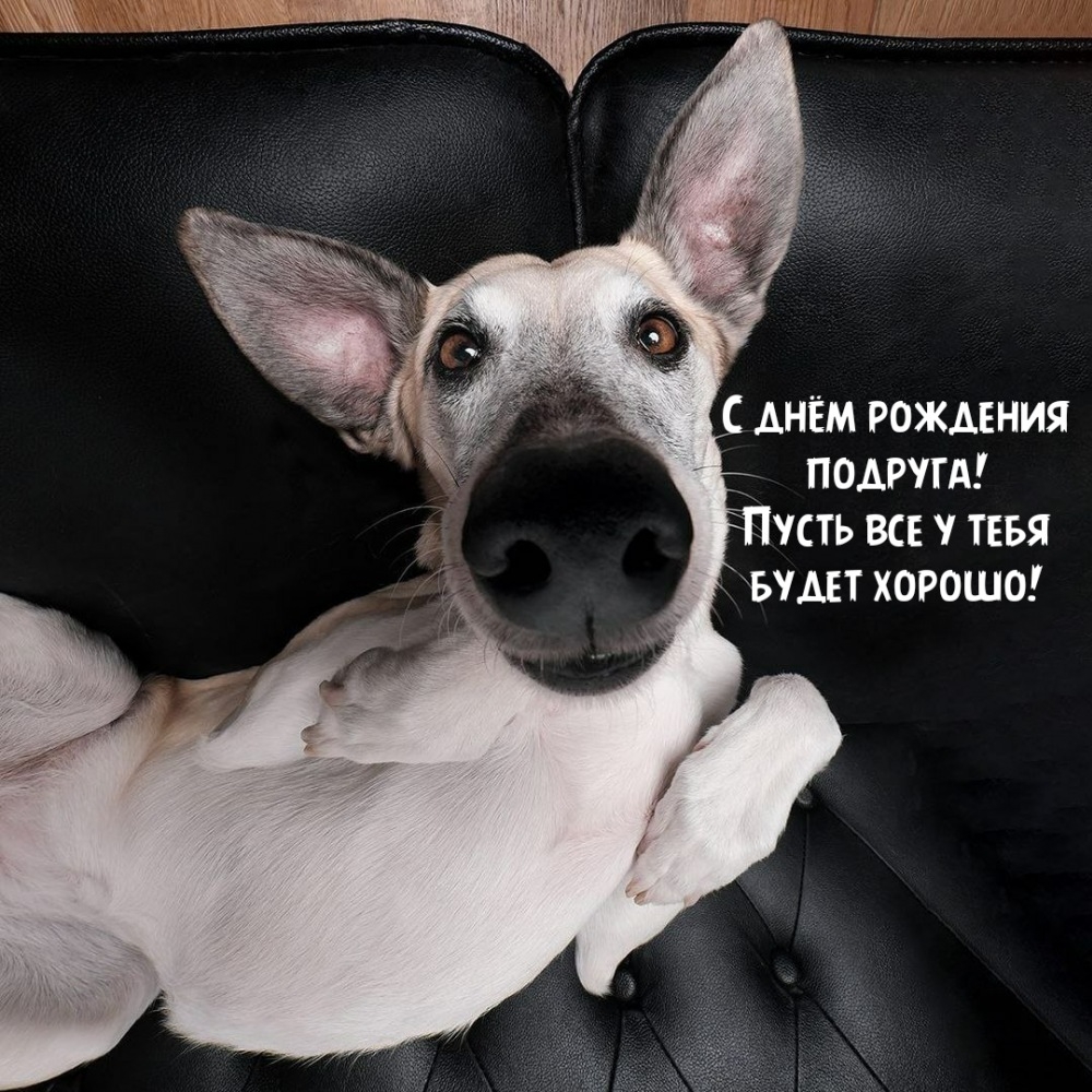 С днём рождения подруга! Пусть все у тебя будет хорошо!