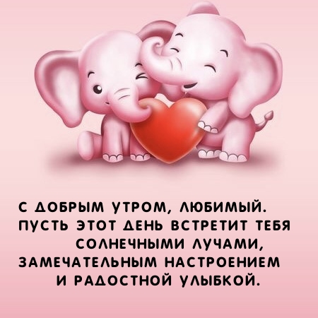 С добрым утром, любимый. Пусть день встретит солнечными лучами