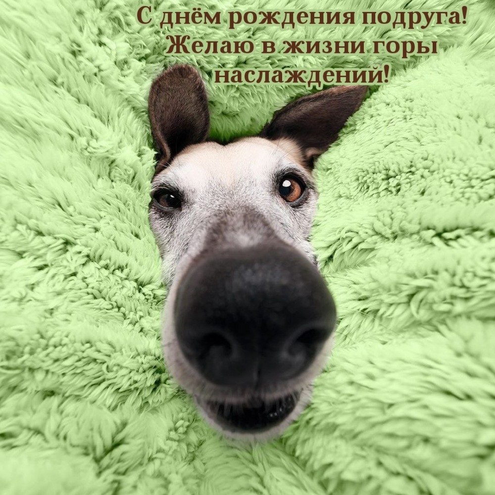 С днём рождения подруга! Желаю в жизни горы наслаждений!