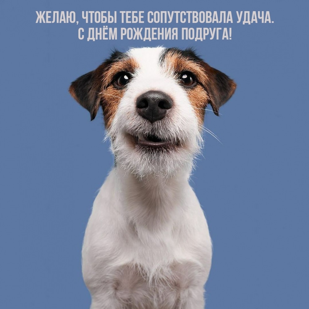 Желаю, чтобы тебе сопутствовала удача. С днём рождения подруга!