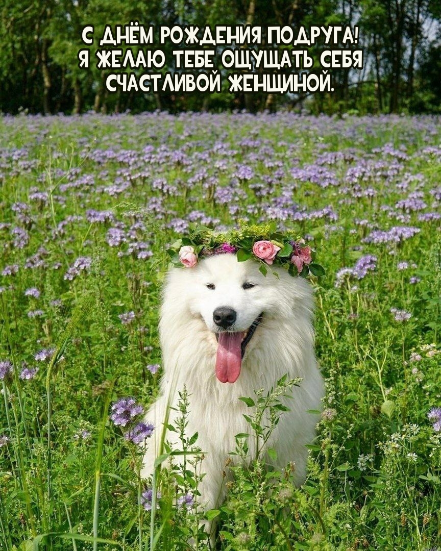 Я желаю тебе ощущать себя счастливой женщиной.