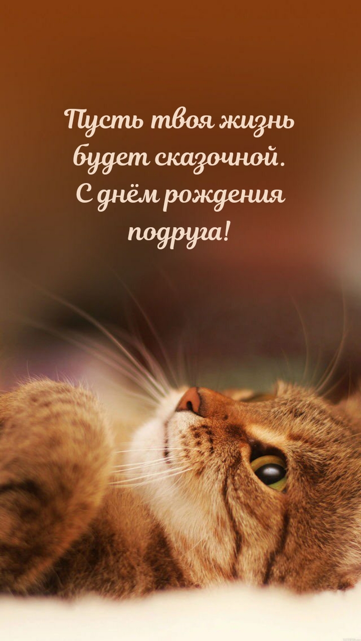 Пусть твоя жизнь будет сказочной. С днём рождения подруга!