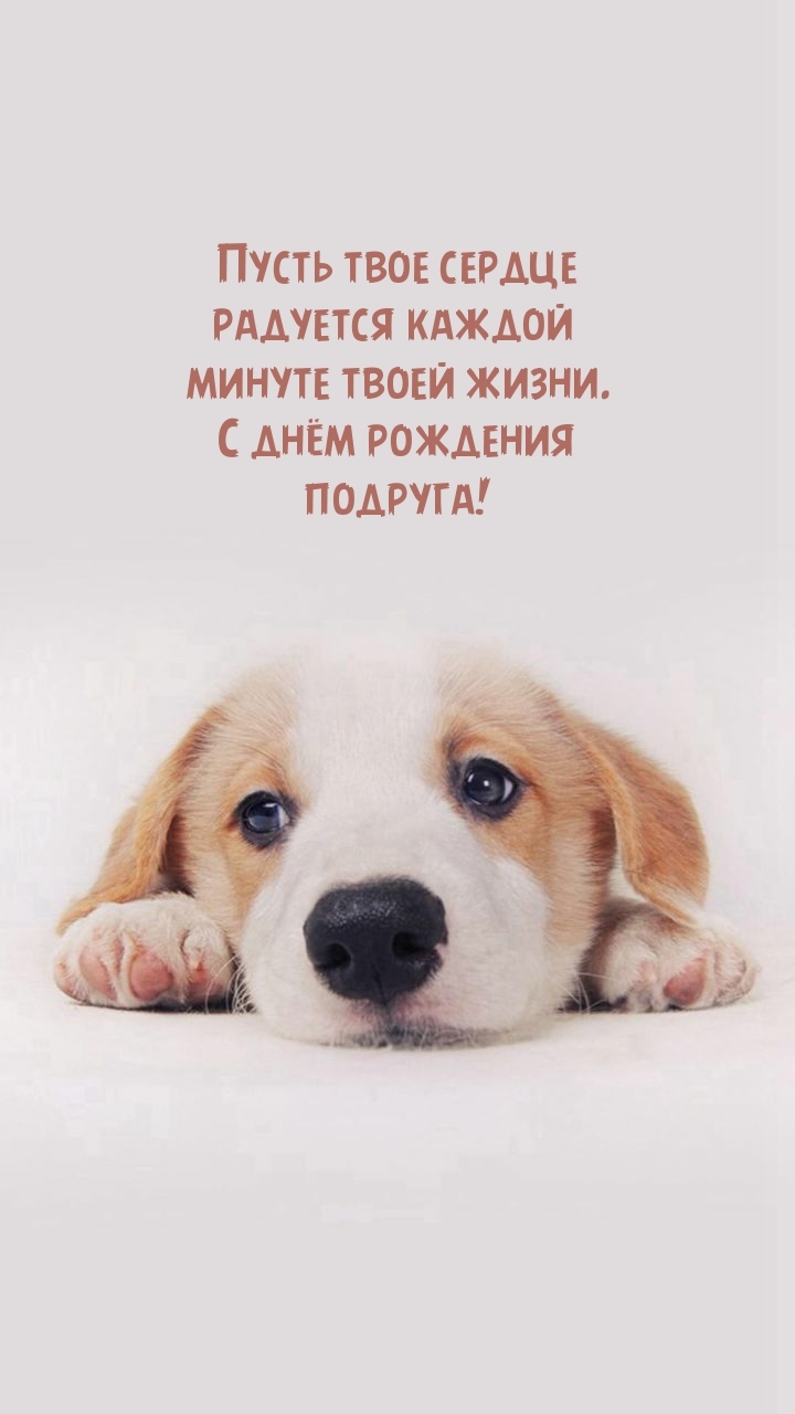 Пусть твое сердце радуется каждой минуте твоей жизни.