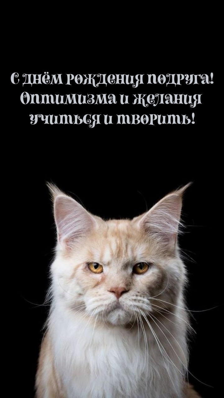 С днём рождения подруга! Оптимизма и желания учиться и творить!