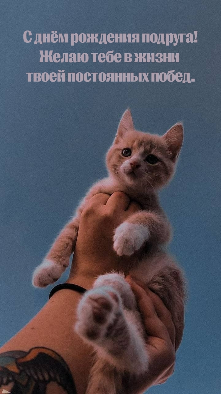 Желаю тебе в жизни твоей постоянных побед.