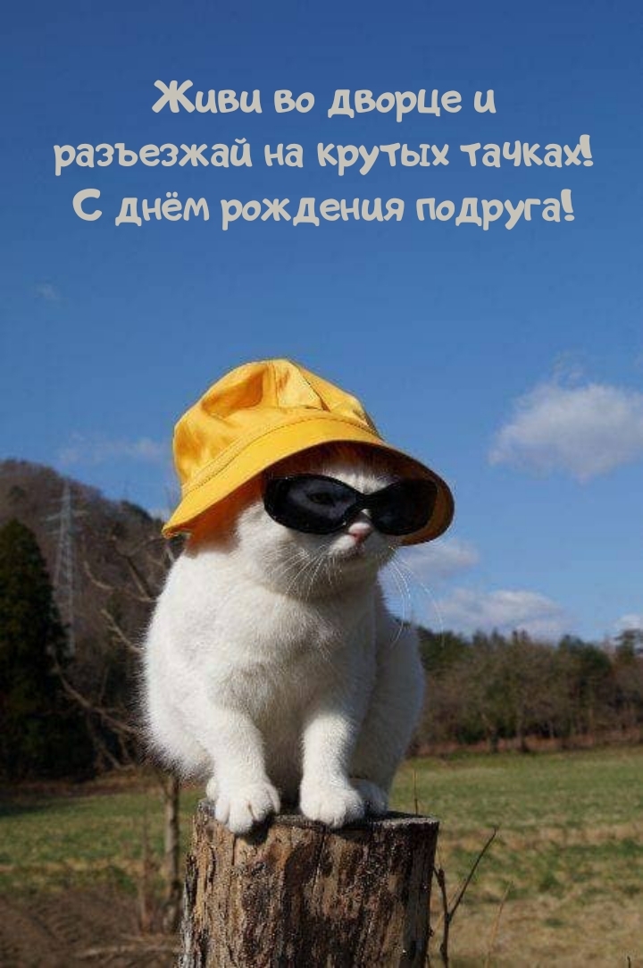 Живи во дворце и разъезжай на крутых тачках! С днём рождения 