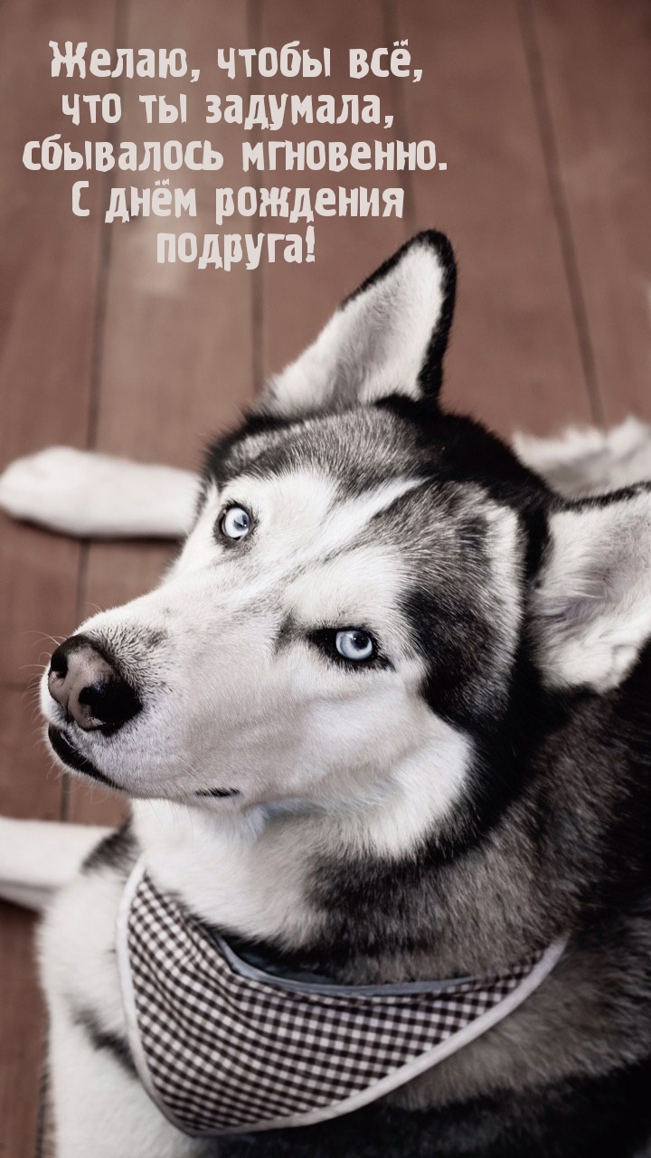 Желаю, чтобы всё, что ты задумала, сбывалось мгновенно.