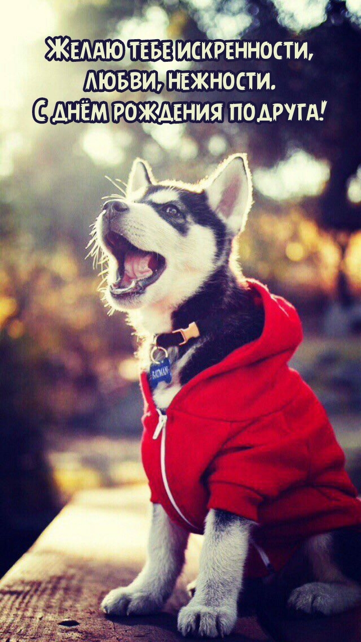 Желаю тебе искренности, любви. С днём рождения подруга!