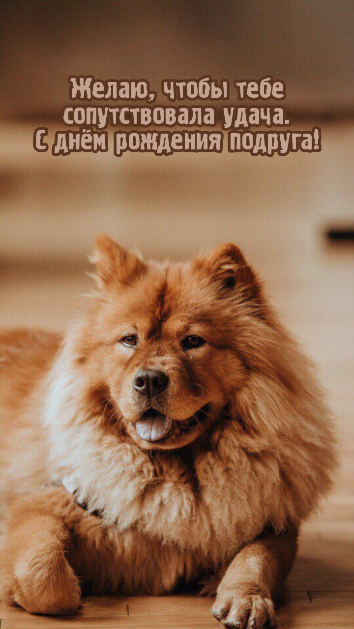 Желаю, чтобы сопутствовала удача. С днём рождения подруга!