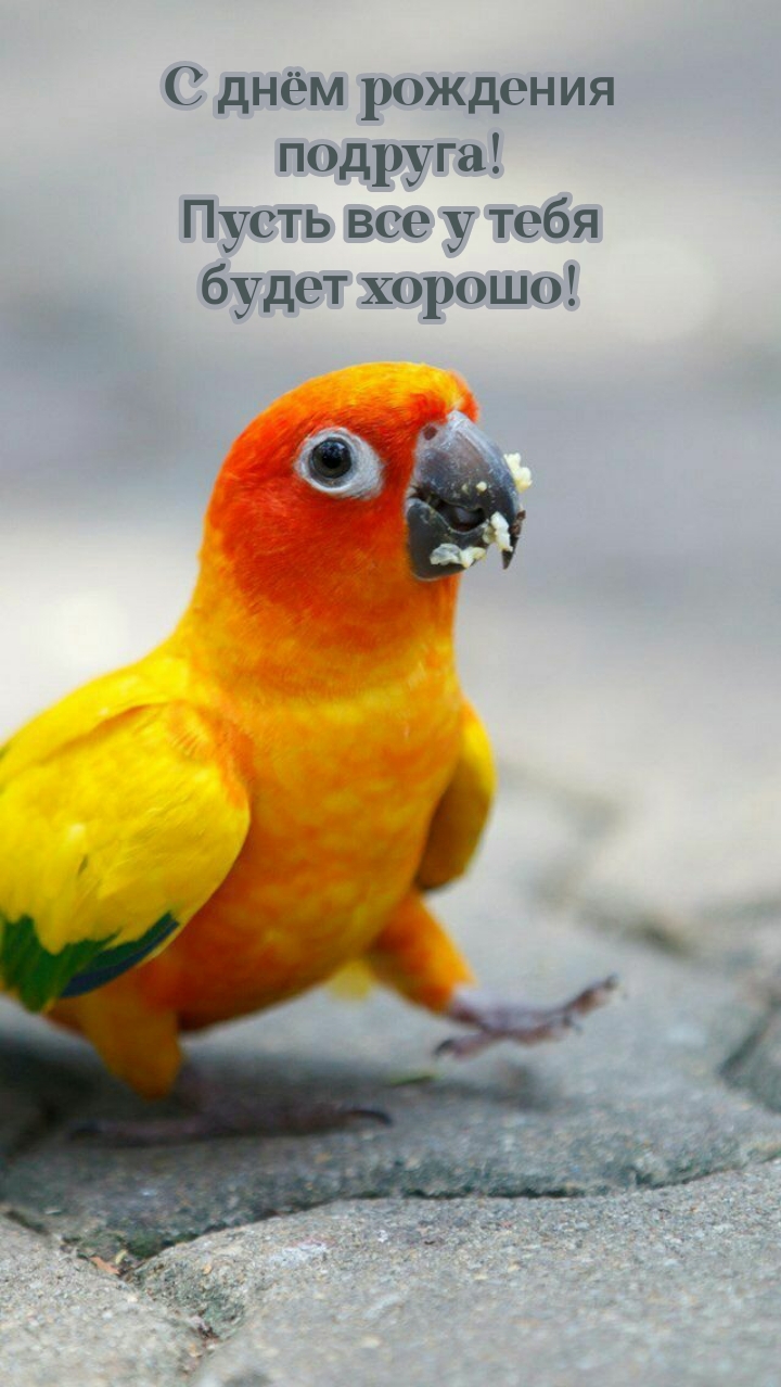 С днём рождения подруга! Пусть все у тебя будет хорошо!
