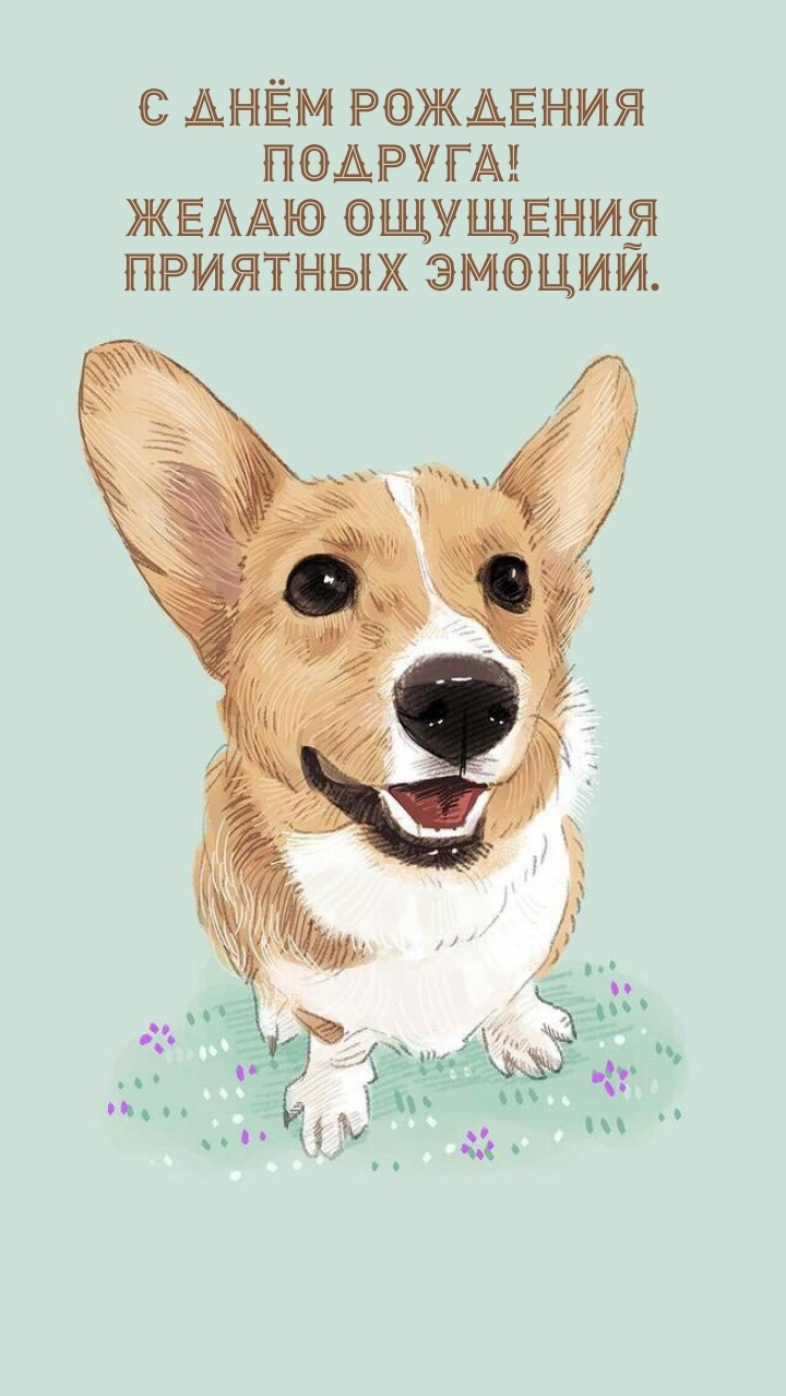 С днём рождения подруга! Желаю ощущения приятных эмоций.