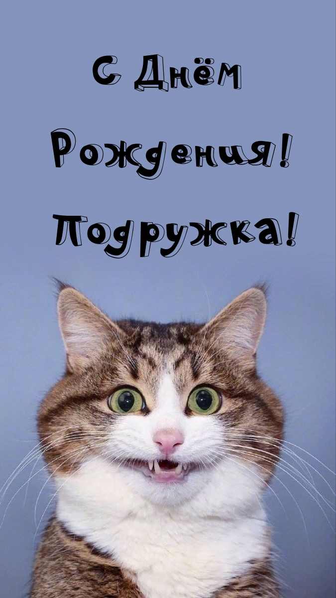 С Днём Рождения! Подружка!