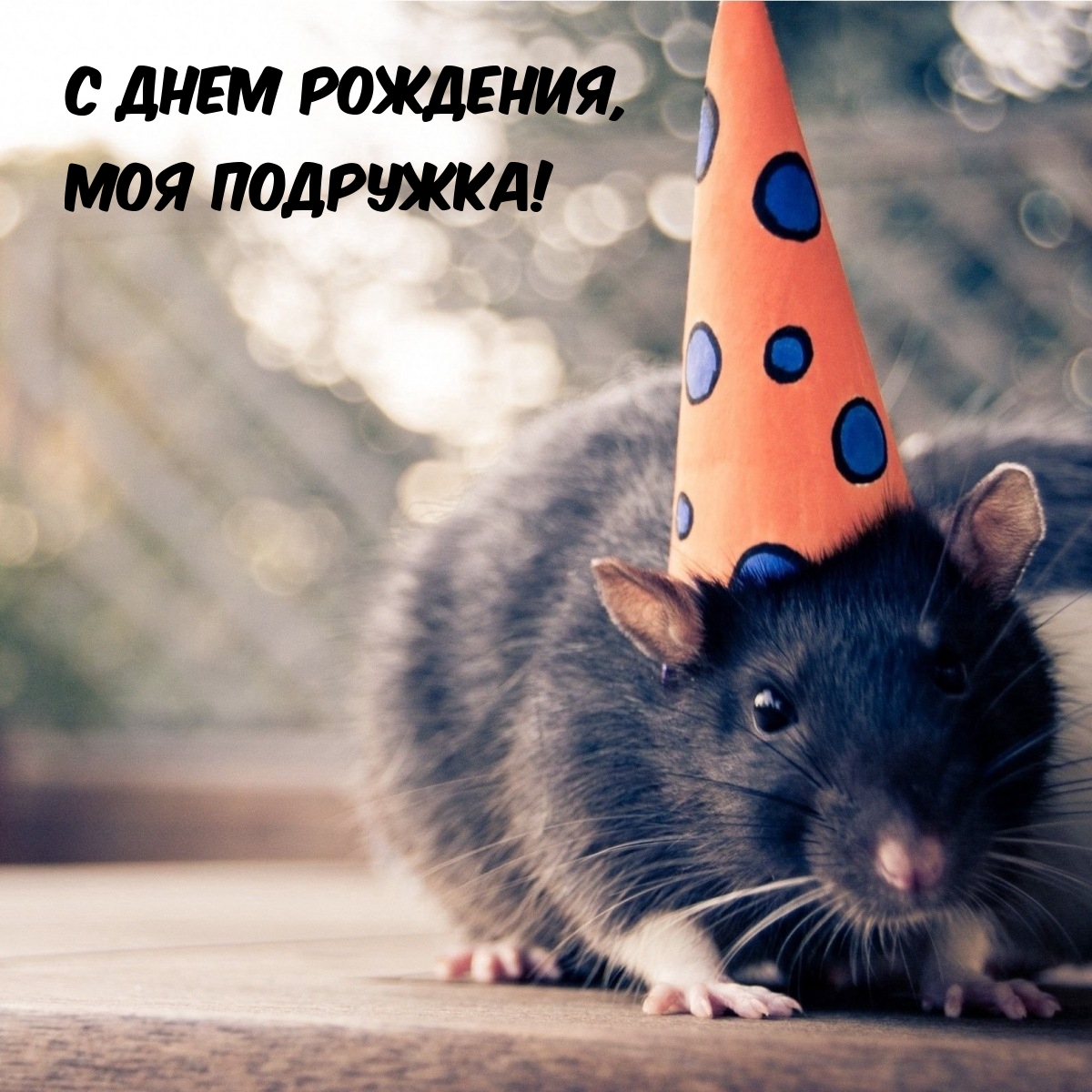 С днем рождения, моя подружка!